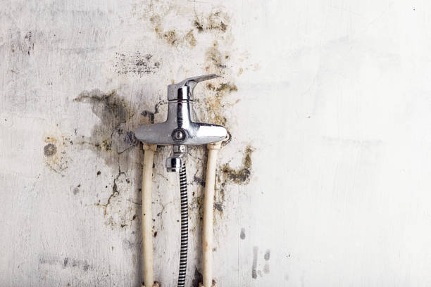 Best Mold Remediation for Schools in Spring Green, WI