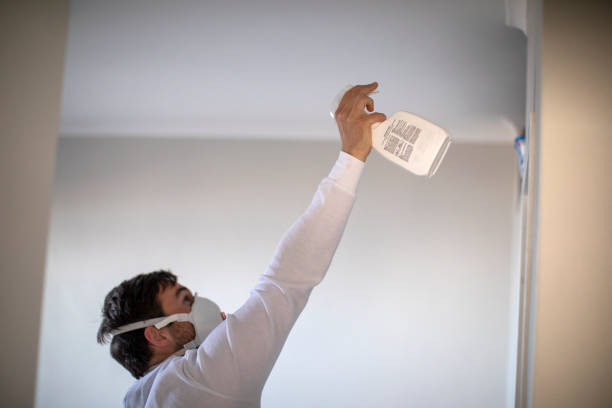 Best DIY Mold Remediation Support Services in Spring Green, WI