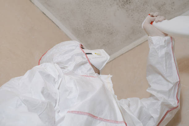 Spring Green, WI Mold Remediation Company